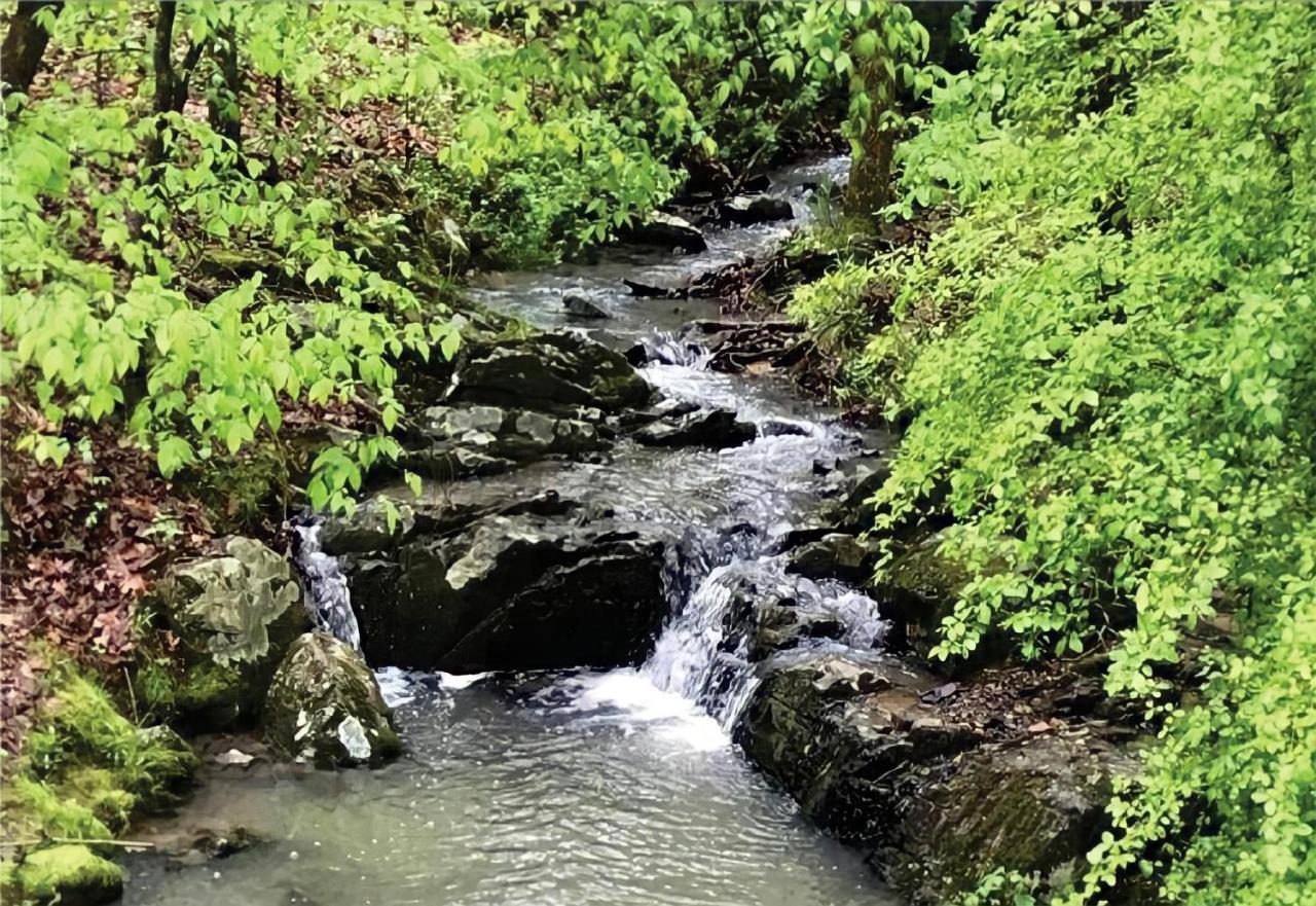 Secluded Home With Mini Waterfall And A Creek In Хот-Спрингс Экстерьер фото